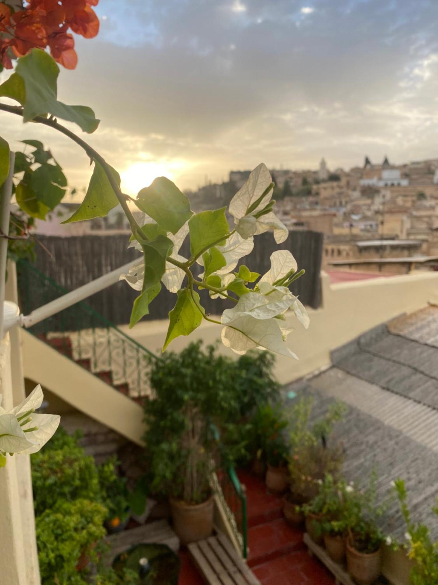 Riad Taj Salma Fez Esterno foto